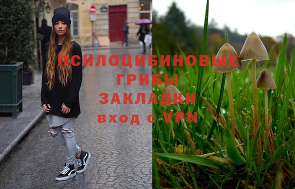 каннабис Елизово