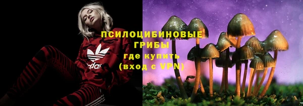 Альфа ПВП Елабуга