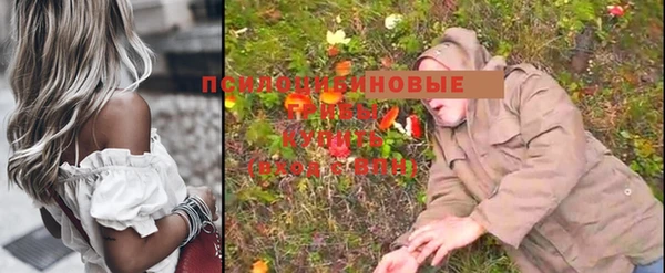 Альфа ПВП Елабуга