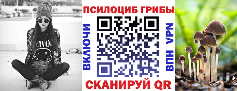 Купить закладки Костомукша Псилоцибиновые грибы Magic Shrooms