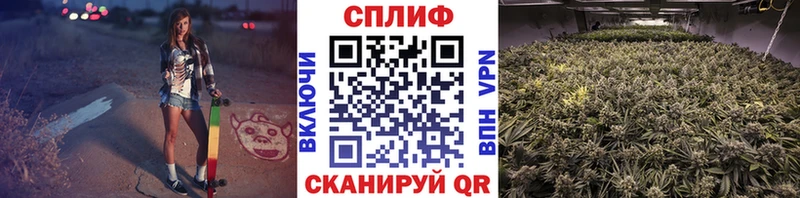 Конопля индика Купить где Костомукша